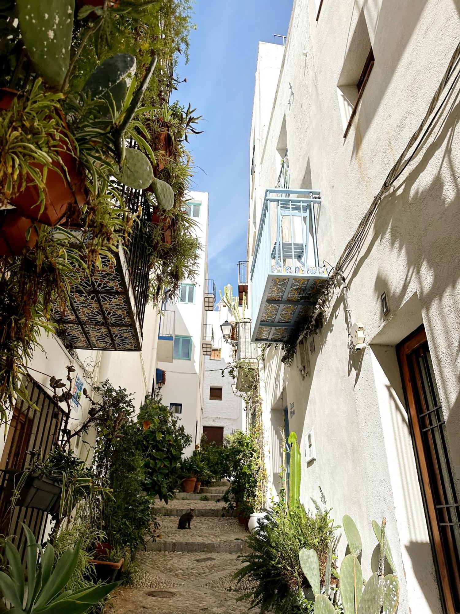 Casa Blava, Casco Antiguo De Peniscola别墅 外观 照片